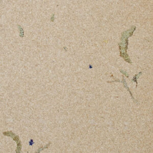 Flower Panel Drifting Dune '26
