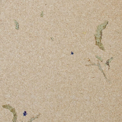 Flower Panel Drifting Dune '26
